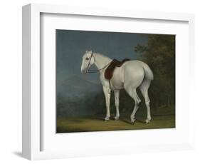 A Lady's Grey Hunter, C.1806-Jacques-Laurent Agasse-Framed Giclee Print