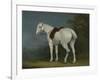 A Lady's Grey Hunter, C.1806-Jacques-Laurent Agasse-Framed Giclee Print