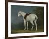 A Lady's Grey Hunter, C.1806-Jacques-Laurent Agasse-Framed Giclee Print