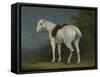 A Lady's Grey Hunter, C.1806-Jacques-Laurent Agasse-Framed Stretched Canvas