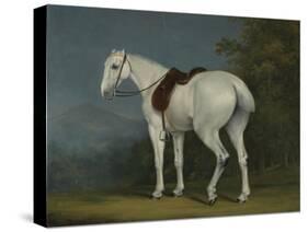 A Lady's Grey Hunter, C.1806-Jacques-Laurent Agasse-Stretched Canvas