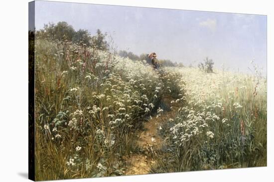 A Lady with a Parasol in a Meadow with Cow Parsley, 1881-Ivan Ivanovitch Shishkin-Stretched Canvas
