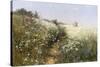 A Lady with a Parasol in a Meadow with Cow Parsley, 1881-Ivan Ivanovitch Shishkin-Stretched Canvas