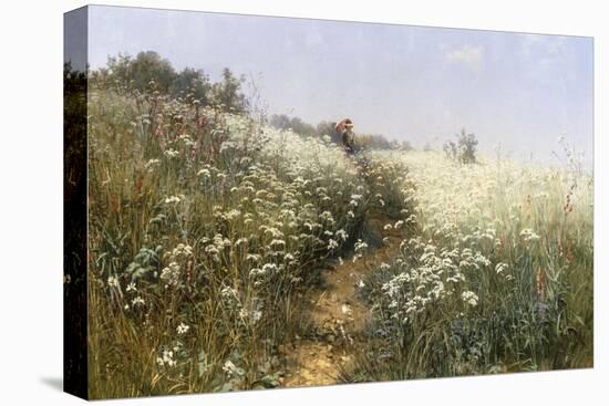 A Lady with a Parasol in a Meadow with Cow Parsley, 1881-Ivan Ivanovitch Shishkin-Stretched Canvas