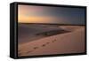 A Lagoon at Sunset in the Sand Dunes in Brazil's Lencois Maranhenses National Park-Alex Saberi-Framed Stretched Canvas