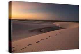 A Lagoon at Sunset in the Sand Dunes in Brazil's Lencois Maranhenses National Park-Alex Saberi-Stretched Canvas