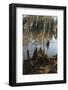 A lagoon-Natalie Tepper-Framed Photo