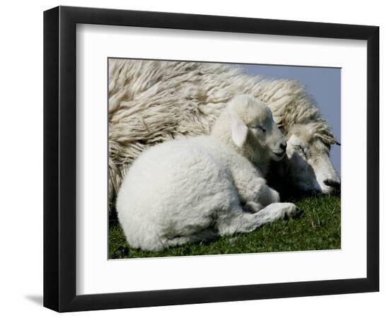 Premium Photographic Print, , large