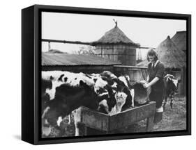 A Land Girl Working Feeding Cattle on a Farm During World War Ii-Robert Hunt-Framed Stretched Canvas