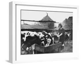 A Land Girl Working Feeding Cattle on a Farm During World War Ii-Robert Hunt-Framed Photographic Print