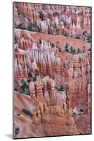 A Landscape at Bryce Canyon National Park, Utah, 2020 (Photo)-Ira Block-Mounted Giclee Print