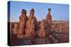 A Landscape at Bryce Canyon National Park, Utah, 2020 (Photo)-Ira Block-Stretched Canvas