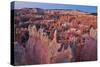 A Landscape at Bryce Canyon National Park, Utah, 2020 (Photo)-Ira Block-Stretched Canvas