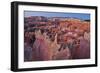 A Landscape at Bryce Canyon National Park, Utah, 2020 (Photo)-Ira Block-Framed Giclee Print