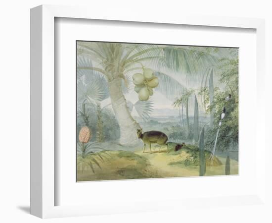 A Landscape in Ceylon, with Barking Deer and Fawn and a Pair of Paradise Fly-Catchers, C.1808-11-Samuel Daniell-Framed Premium Giclee Print