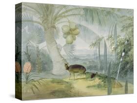 A Landscape in Ceylon, with Barking Deer and Fawn and a Pair of Paradise Fly-Catchers, C.1808-11-Samuel Daniell-Stretched Canvas