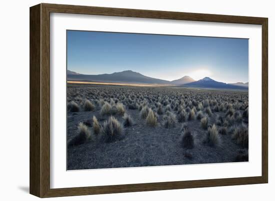 A Landscape in Sajama National Park at Sunset-Alex Saberi-Framed Photographic Print