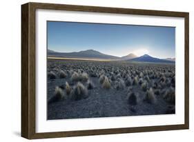 A Landscape in Sajama National Park at Sunset-Alex Saberi-Framed Photographic Print