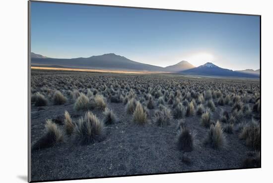 A Landscape in Sajama National Park at Sunset-Alex Saberi-Mounted Photographic Print