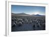 A Landscape in Sajama National Park at Sunset-Alex Saberi-Framed Photographic Print