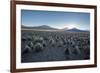 A Landscape in Sajama National Park at Sunset-Alex Saberi-Framed Photographic Print