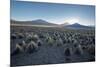 A Landscape in Sajama National Park at Sunset-Alex Saberi-Mounted Photographic Print