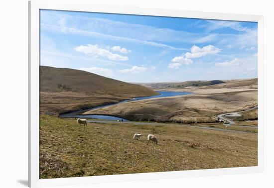 A Landscape View of Elan Valley, Powys, Wales, United Kingdom, Europe-Graham Lawrence-Framed Photographic Print