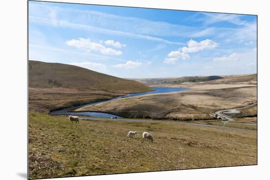 A Landscape View of Elan Valley, Powys, Wales, United Kingdom, Europe-Graham Lawrence-Mounted Premium Photographic Print
