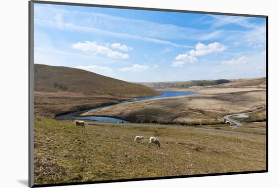 A Landscape View of Elan Valley, Powys, Wales, United Kingdom, Europe-Graham Lawrence-Mounted Photographic Print