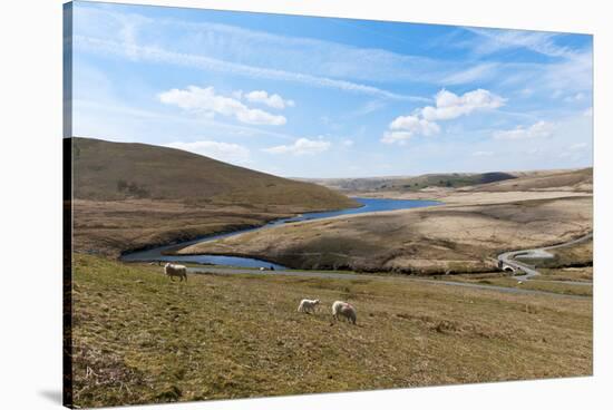 A Landscape View of Elan Valley, Powys, Wales, United Kingdom, Europe-Graham Lawrence-Stretched Canvas