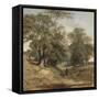 A Landscape with a Horseman, C.1850-John Middleton-Framed Stretched Canvas