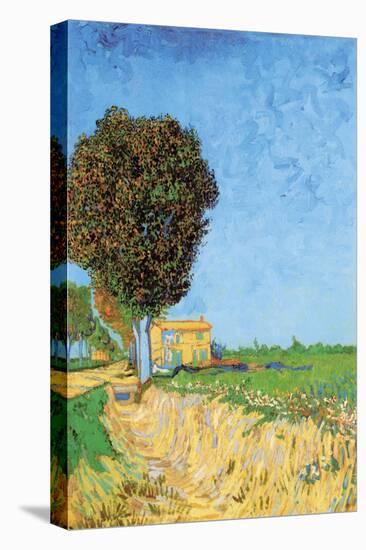 A Lane Near Arles-Vincent van Gogh-Stretched Canvas