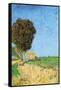 A Lane Near Arles-Vincent van Gogh-Framed Stretched Canvas