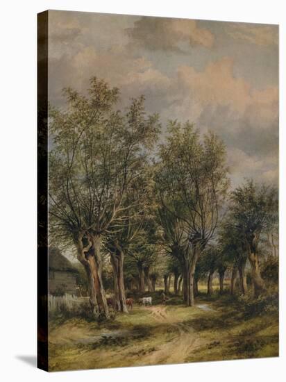 A Lane near Norwich, c1837-James Stark-Stretched Canvas