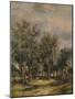 A Lane near Norwich, c1837-James Stark-Mounted Giclee Print