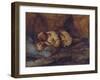 A Laplander Asleep by a Fire-Francois Auguste Biard-Framed Giclee Print