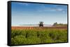 A Large Agricultural Sprayer with Wide Booms Spraying a Field of Potatoes in Rural Prince Edward Is-onepony-Framed Stretched Canvas