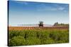 A Large Agricultural Sprayer with Wide Booms Spraying a Field of Potatoes in Rural Prince Edward Is-onepony-Stretched Canvas