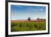 A Large Agricultural Sprayer with Wide Booms Spraying a Field of Potatoes in Rural Prince Edward Is-onepony-Framed Photographic Print