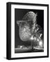 A Large Antenna Operated at Deep Space Station 41 in Australia-null-Framed Photographic Print