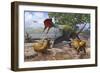 A Large Bakonydraco Pterosaur Attacking a Nest of Small Ajkaceratops-null-Framed Art Print