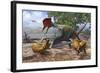 A Large Bakonydraco Pterosaur Attacking a Nest of Small Ajkaceratops-null-Framed Art Print