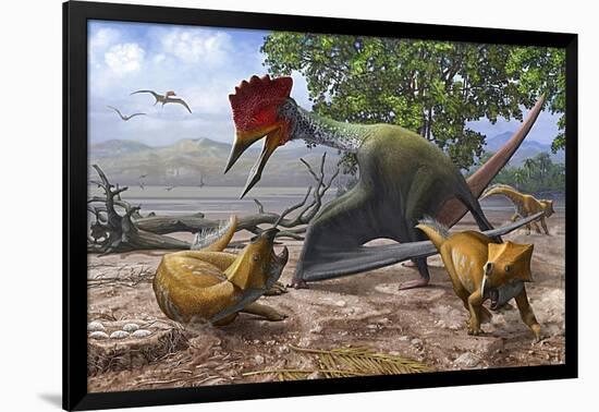 A Large Bakonydraco Pterosaur Attacking a Nest of Small Ajkaceratops-null-Framed Art Print