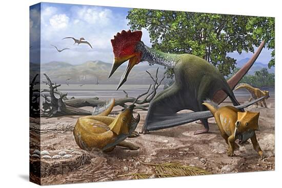 Stretched Canvas Print, , large