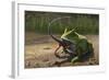 A Large Beelzebufo Frog Eating a Small Masiakasaurus-null-Framed Art Print