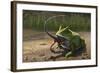 A Large Beelzebufo Frog Eating a Small Masiakasaurus-null-Framed Art Print