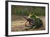 A Large Beelzebufo Frog Eating a Small Masiakasaurus-null-Framed Art Print