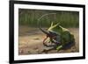 A Large Beelzebufo Frog Eating a Small Masiakasaurus-null-Framed Art Print