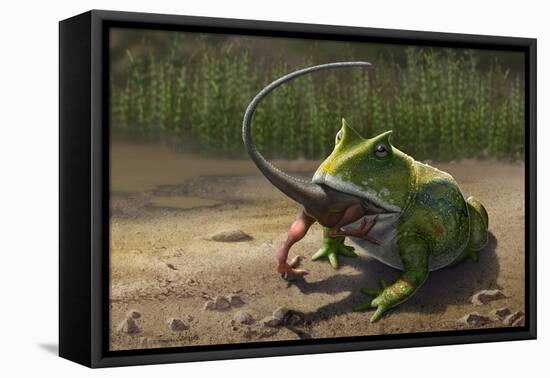 A Large Beelzebufo Frog Eating a Small Masiakasaurus-null-Framed Stretched Canvas