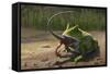 A Large Beelzebufo Frog Eating a Small Masiakasaurus-null-Framed Stretched Canvas